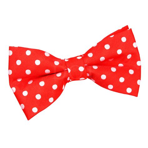 The Polka Dot Bow Tie Chronicles: Following the Adventures of the Elderly Witch